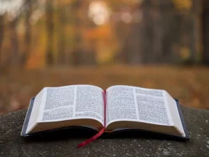 open bible on a stone